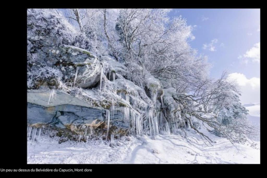 Appt Lumineux, Thermes Et Montagne La Bourboule Exterior photo