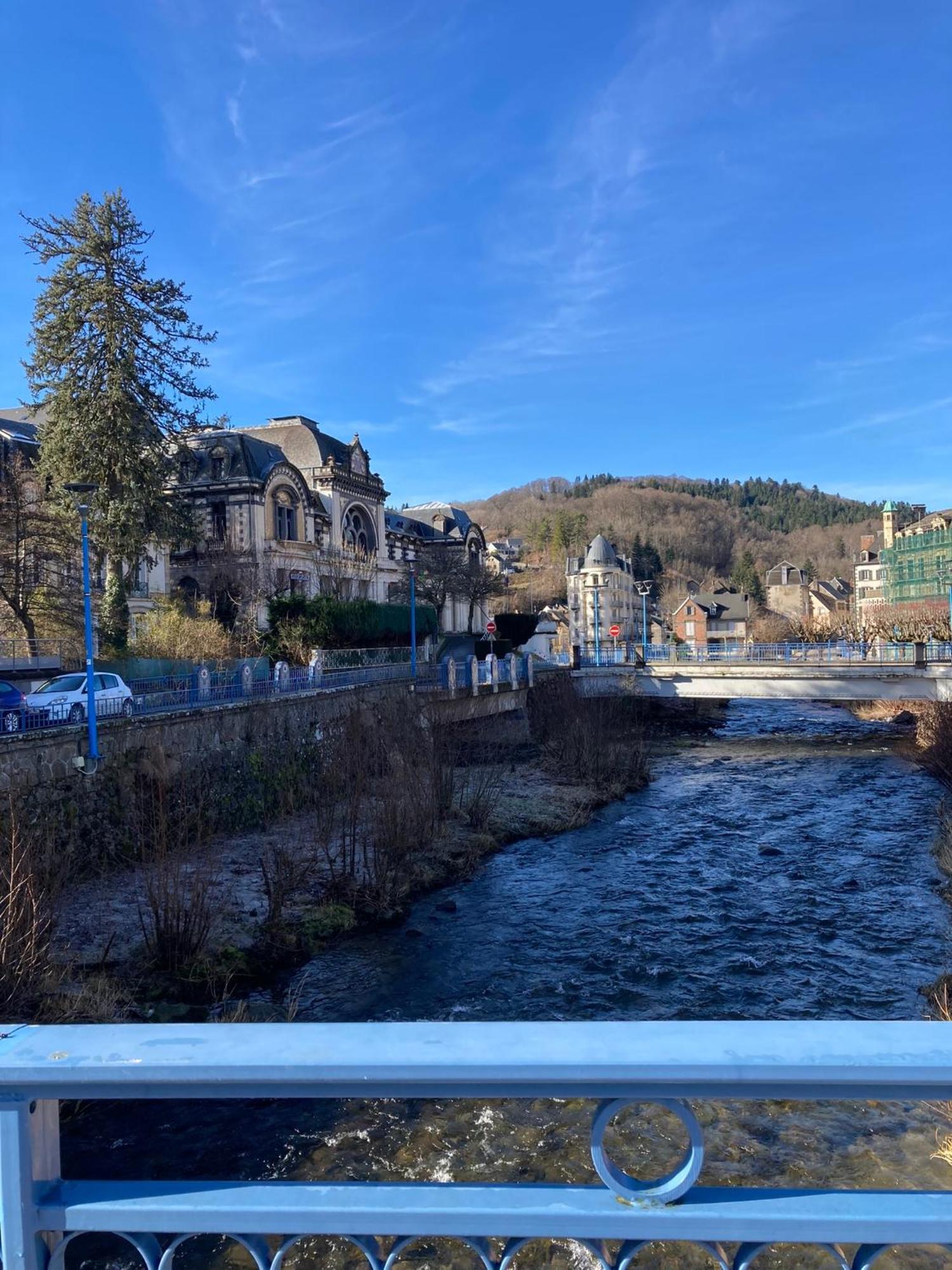 Appt Lumineux, Thermes Et Montagne La Bourboule Exterior photo